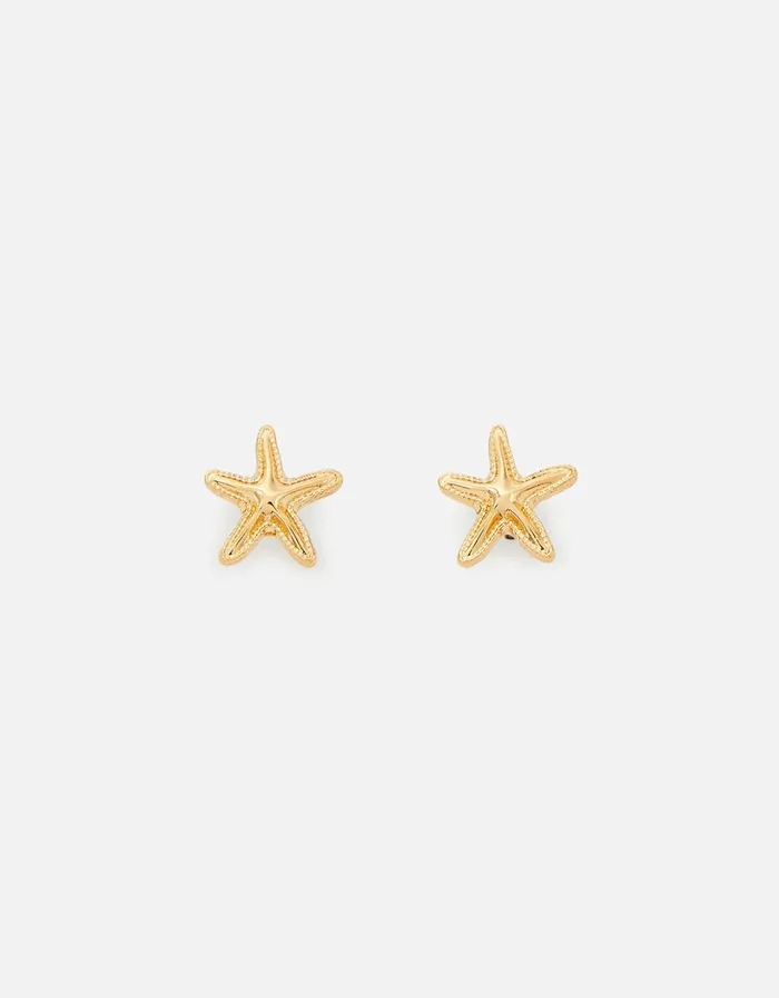 Accessorize Seascape Tiny Starfish Stud Earrings Women Earrings