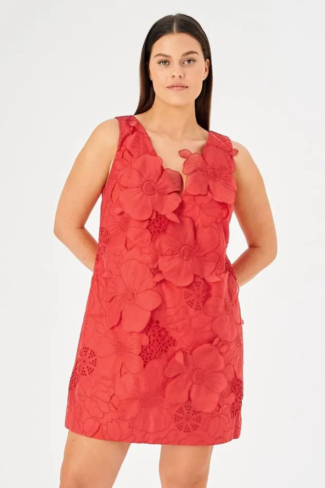 Oroton Dresses Women Lace Shift Dress Poppy