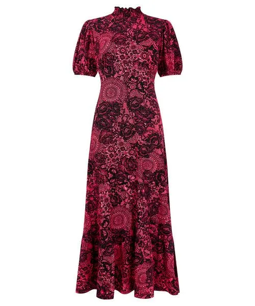 Petite Collection Lovely Lace Print Jersey Dress Pink Joebrowns Apparel Petite Collection Lovely Lace Print Jersey Dress Pink Joebrowns Apparel
