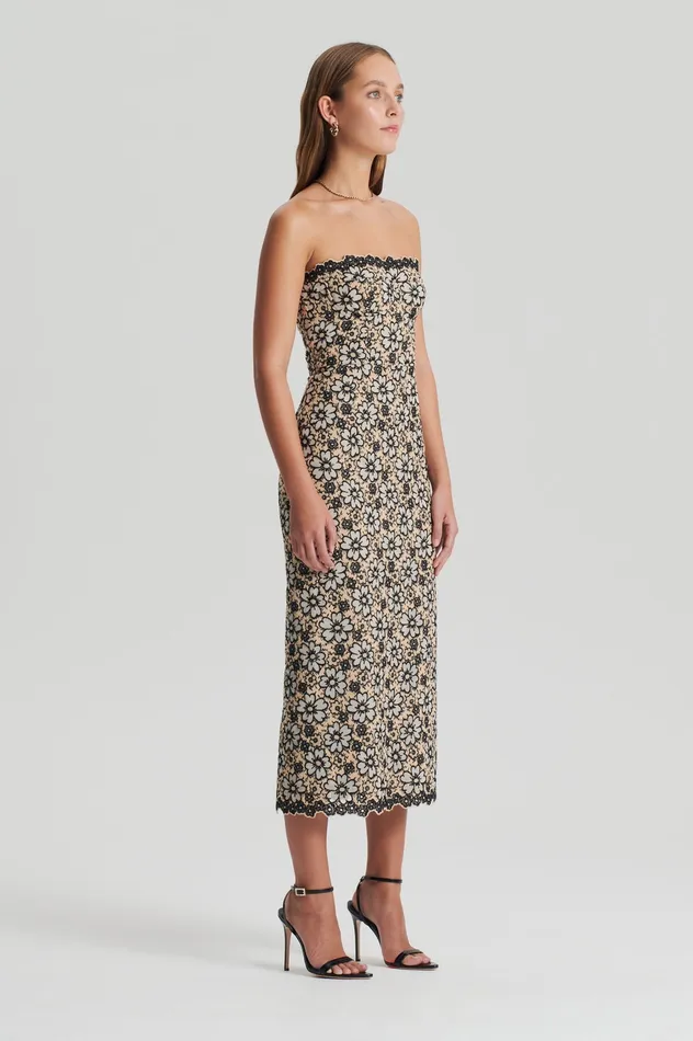 Women Dresses Scanlan Theodore EMBROIDERED FLORAL DRESS BLACKCREAM