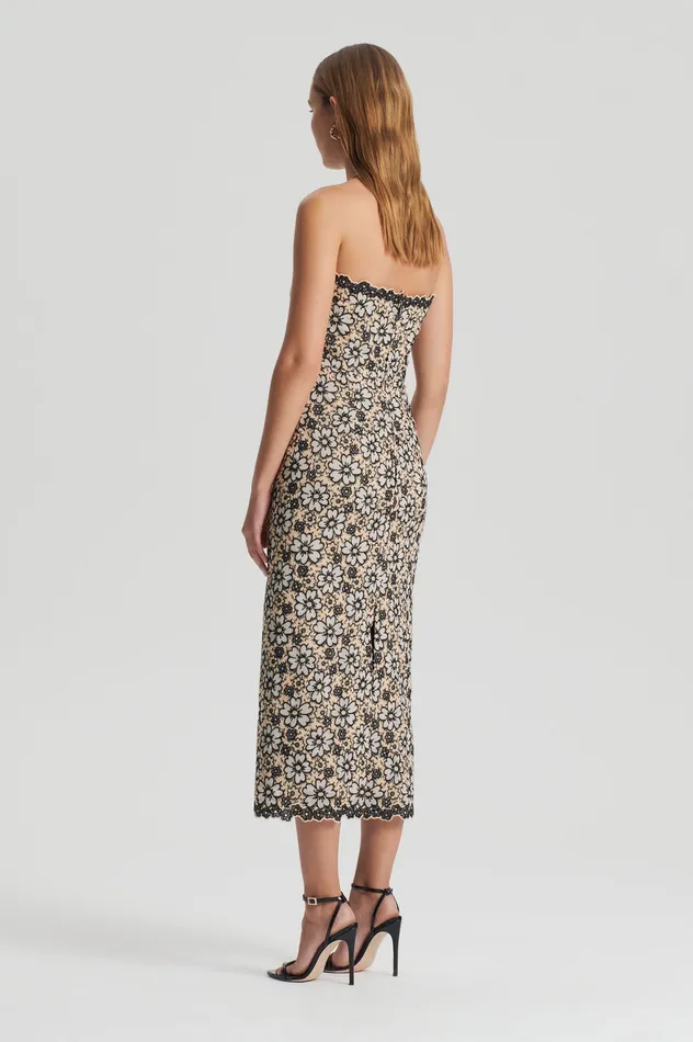 Women Dresses Scanlan Theodore EMBROIDERED FLORAL DRESS BLACKCREAM